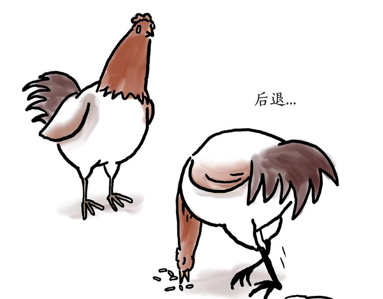水上芭蕾20