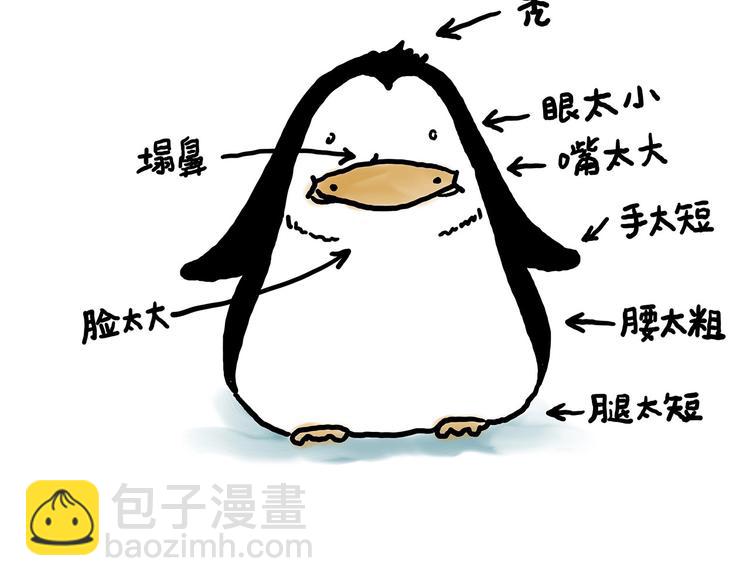 水上芭蕾29