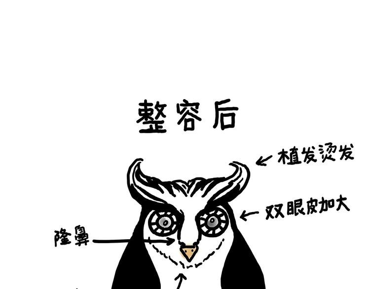 水上芭蕾30