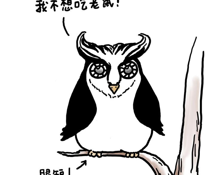 水上芭蕾32