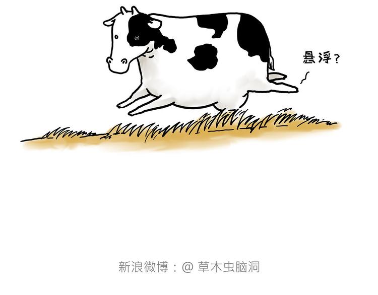学习38