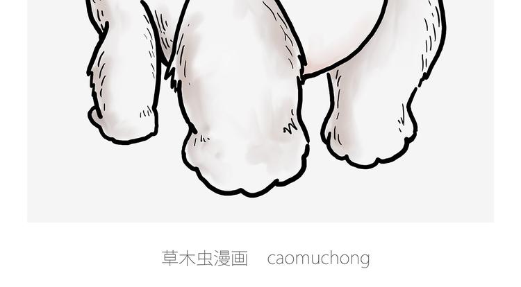 看演唱会29