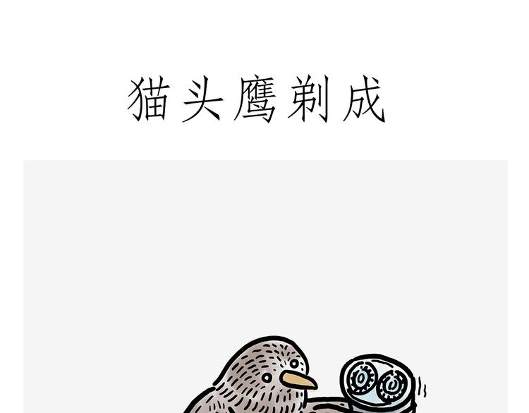 观光电梯27