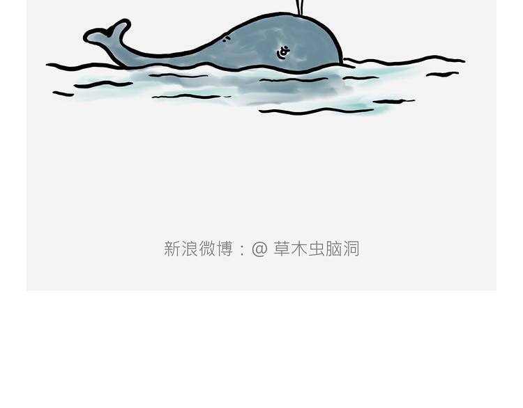观光电梯33