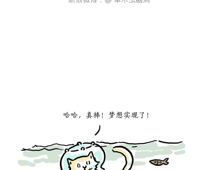 加长版宝马28