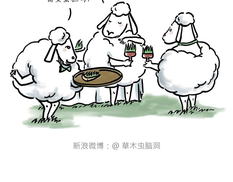 保护八戒15
