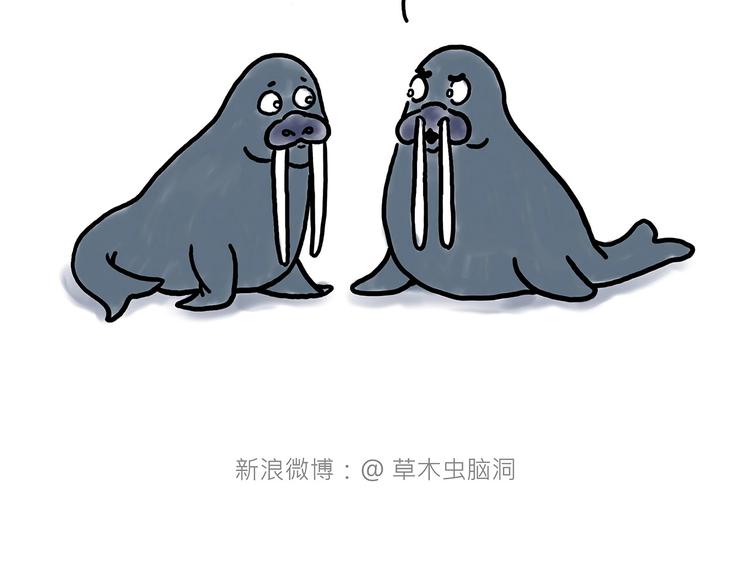 保护八戒27