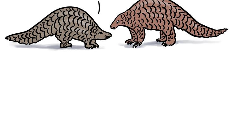 保护八戒4