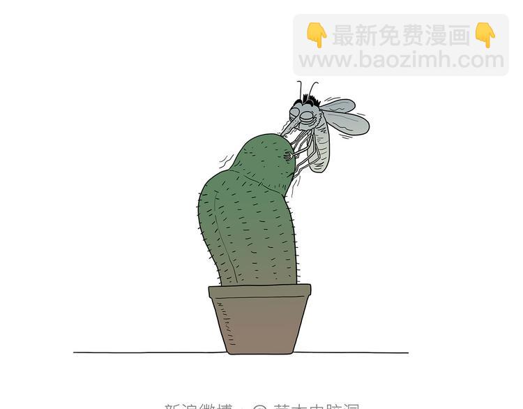 抓娃娃4