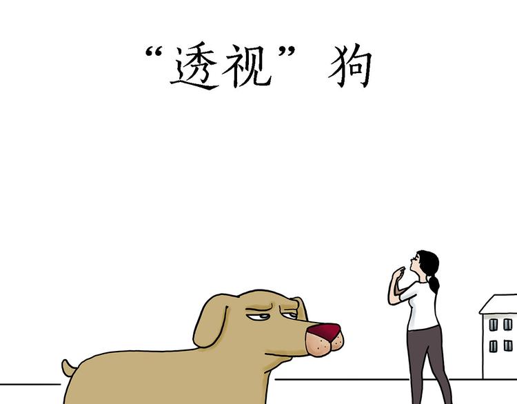 夏夜驱蚊17
