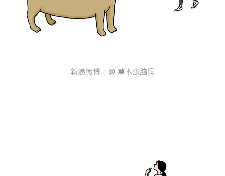 夏夜驱蚊18