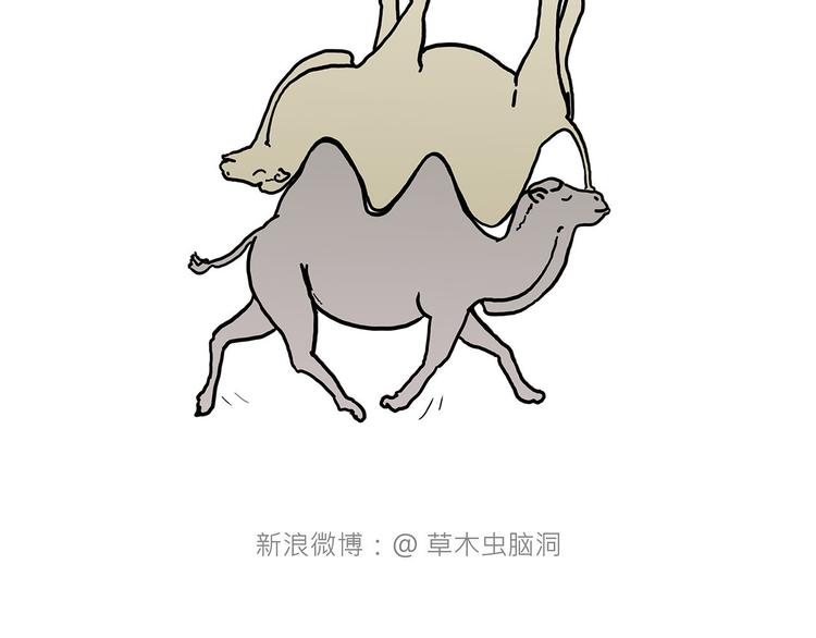 疑似妖膜鬼怪30