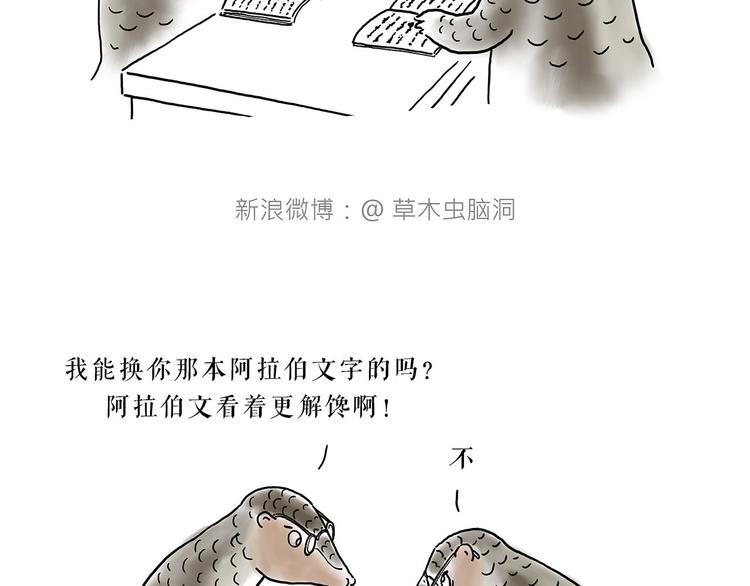 去吃面14