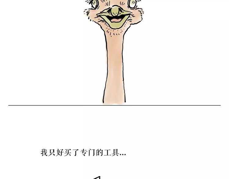 烹饪师傅29