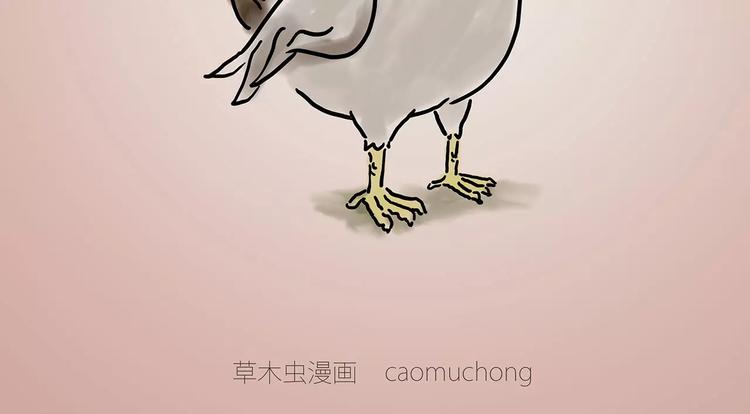 烹饪师傅8
