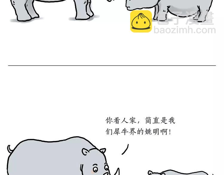 鸵鸟的秘密19