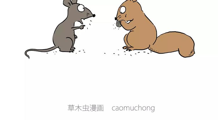 白龙马度假10