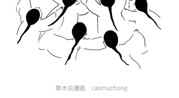 白龙马度假16