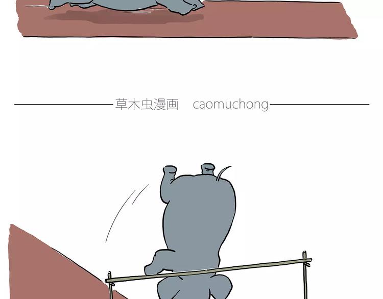 白龙马度假19