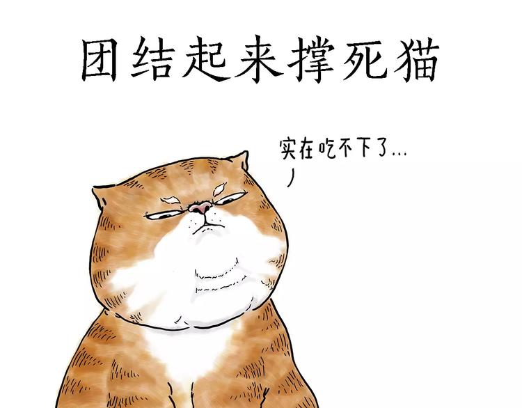 被吃请排队11