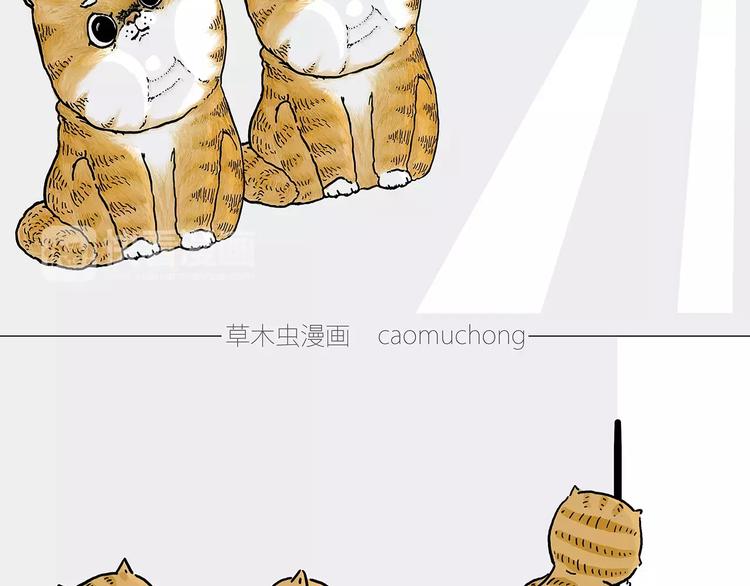 被吃请排队24