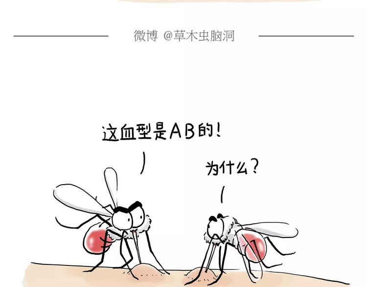 斗牛14