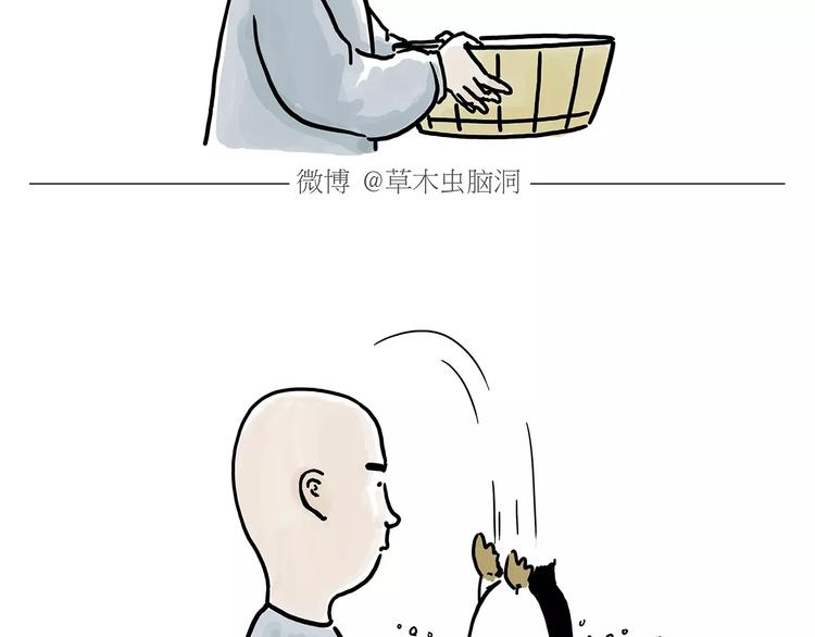斗牛29