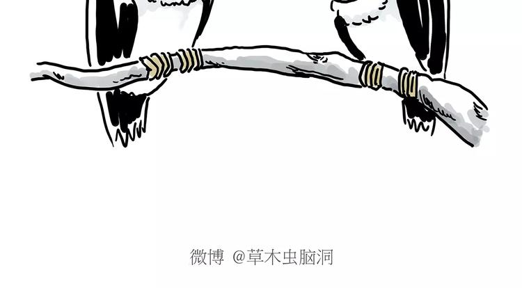 第151话  药不能停18