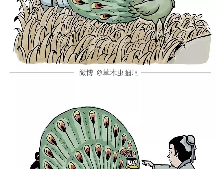 第152话  苹果鸟？？？16