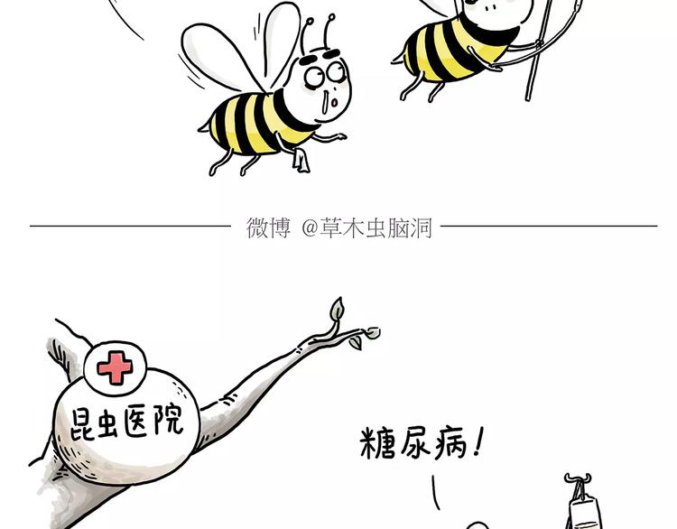 第152话  苹果鸟？？？21