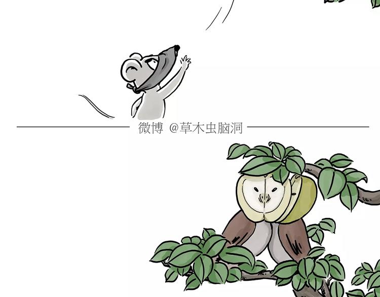 第152话  苹果鸟？？？25