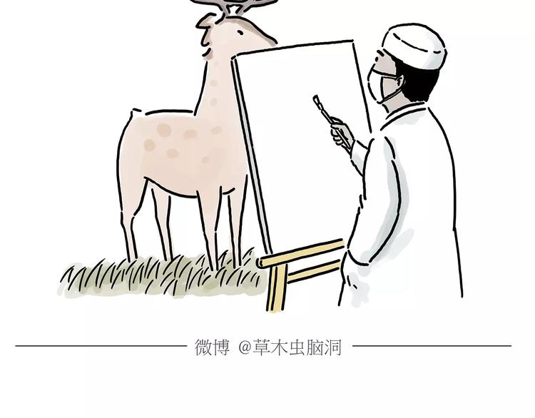 第154话  医生3