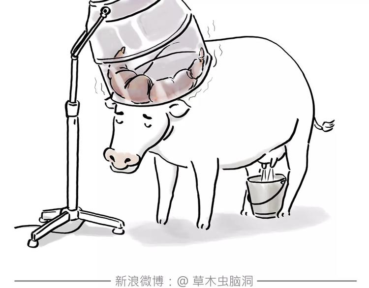 第165话  暖暖的熊4