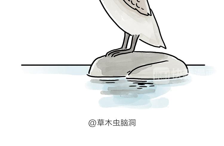 第176话 筋斗云加油11