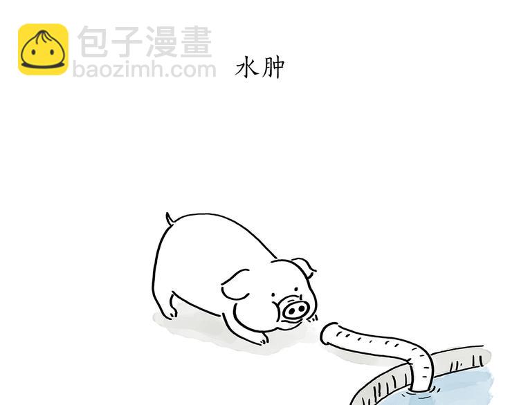 第178话 衣服未干6