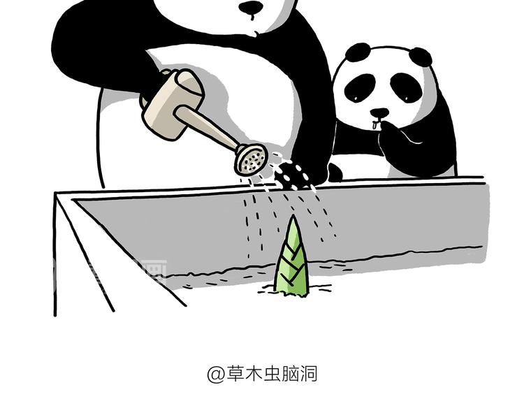 第183话 趁年轻，多蹦跶5
