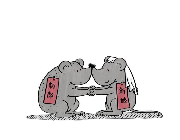 第185话 大猪蹄子4