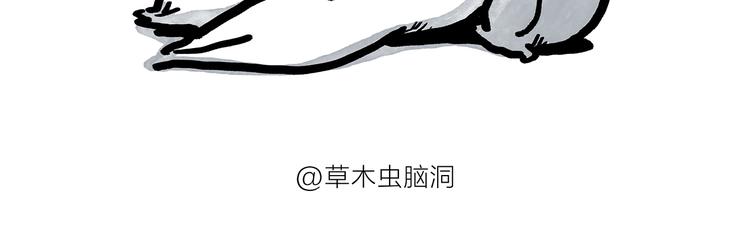 第187话 骆驼相亲4