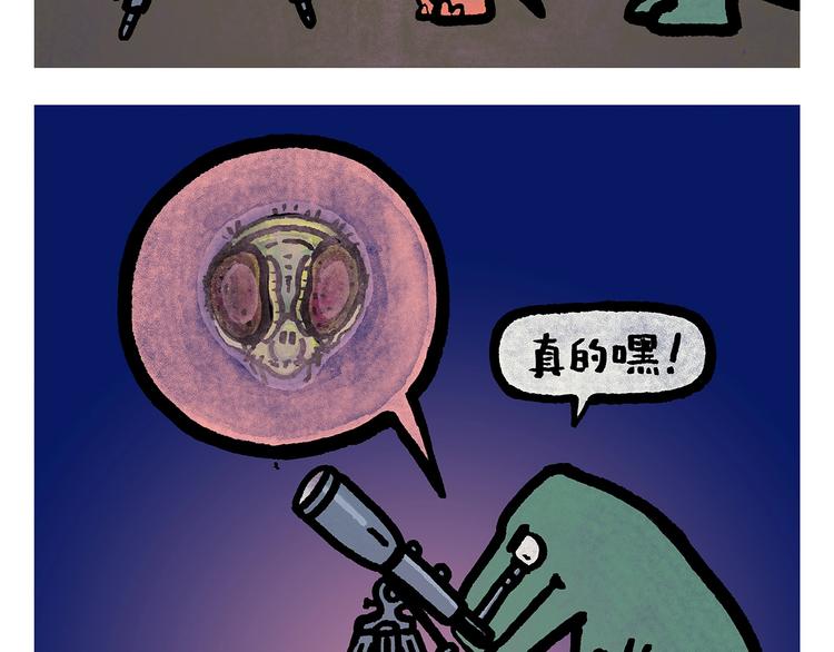 第251话 变太阳18