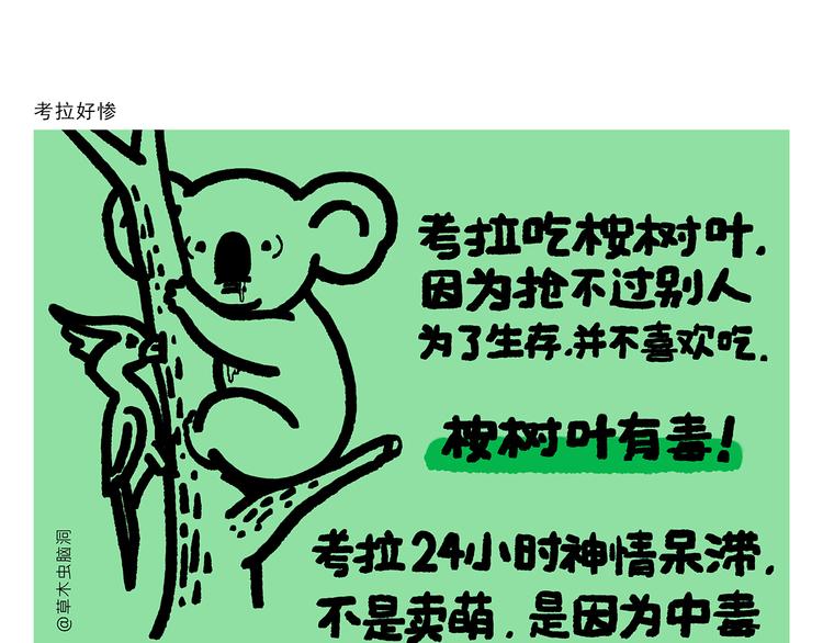 第291话 无法拒绝的“双眸”7