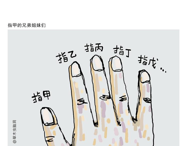 第322话 通缉犯香蕉13