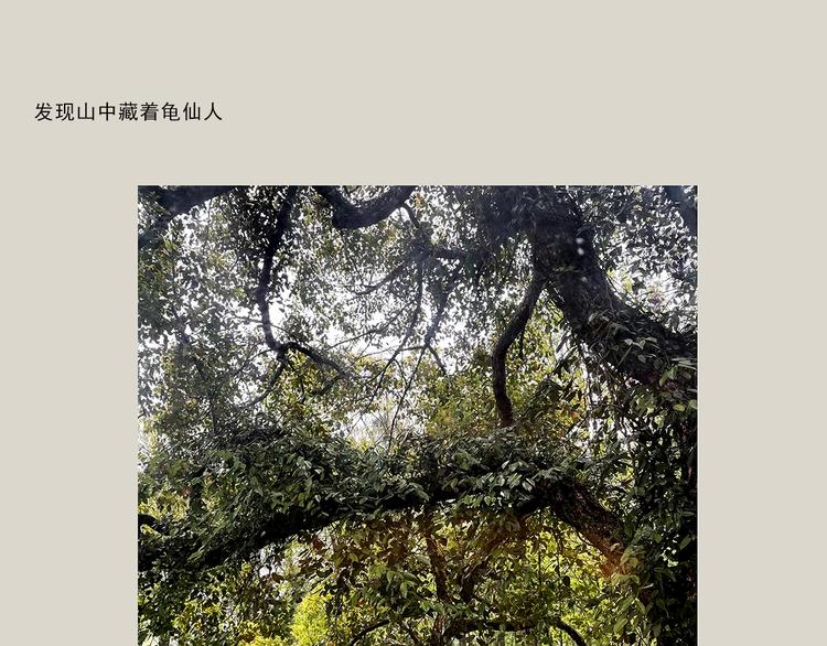 第323话 香蕉认错女朋友6