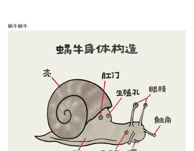 第346话 脸上掉下个取经人12