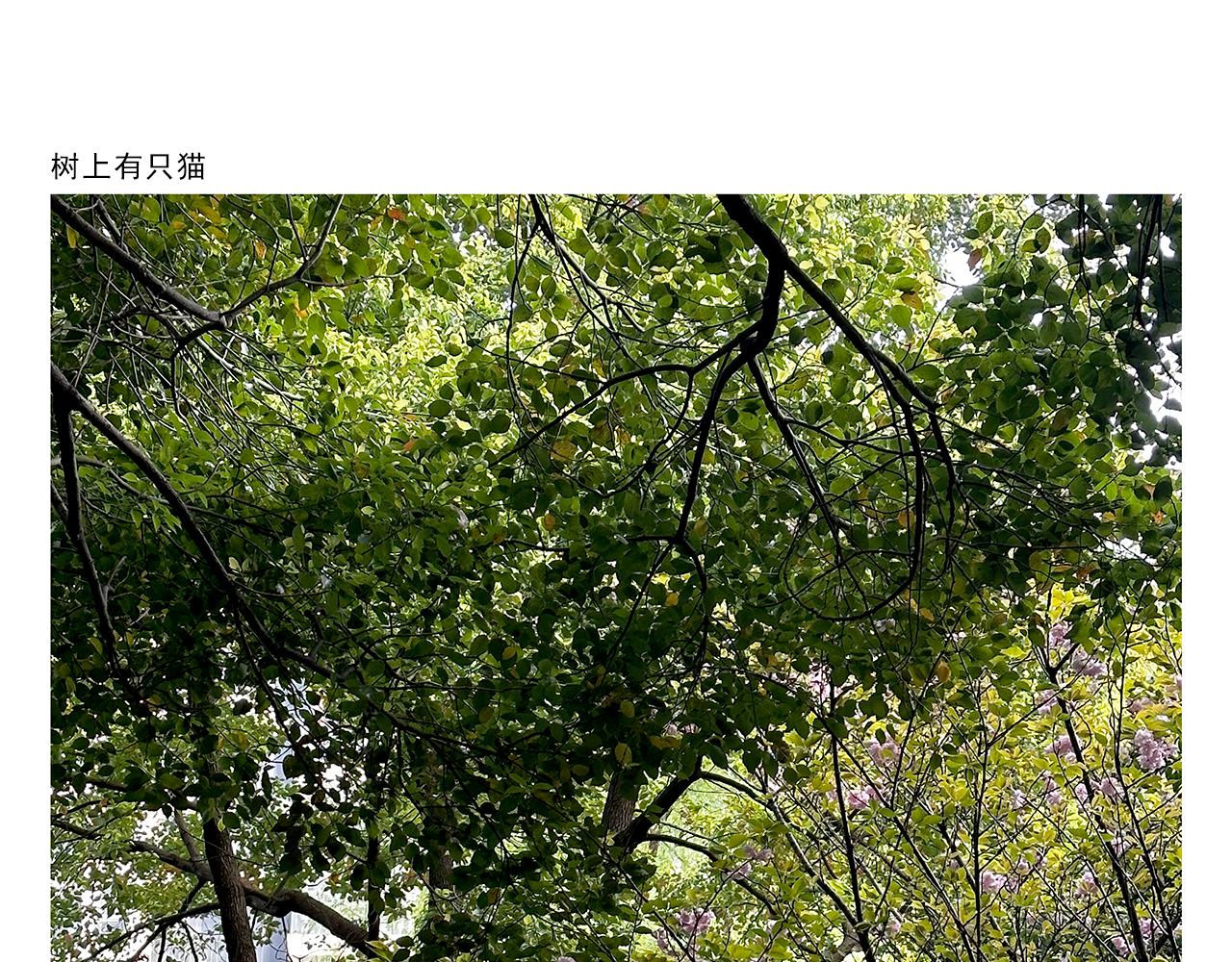 第429话 师父热疯了14