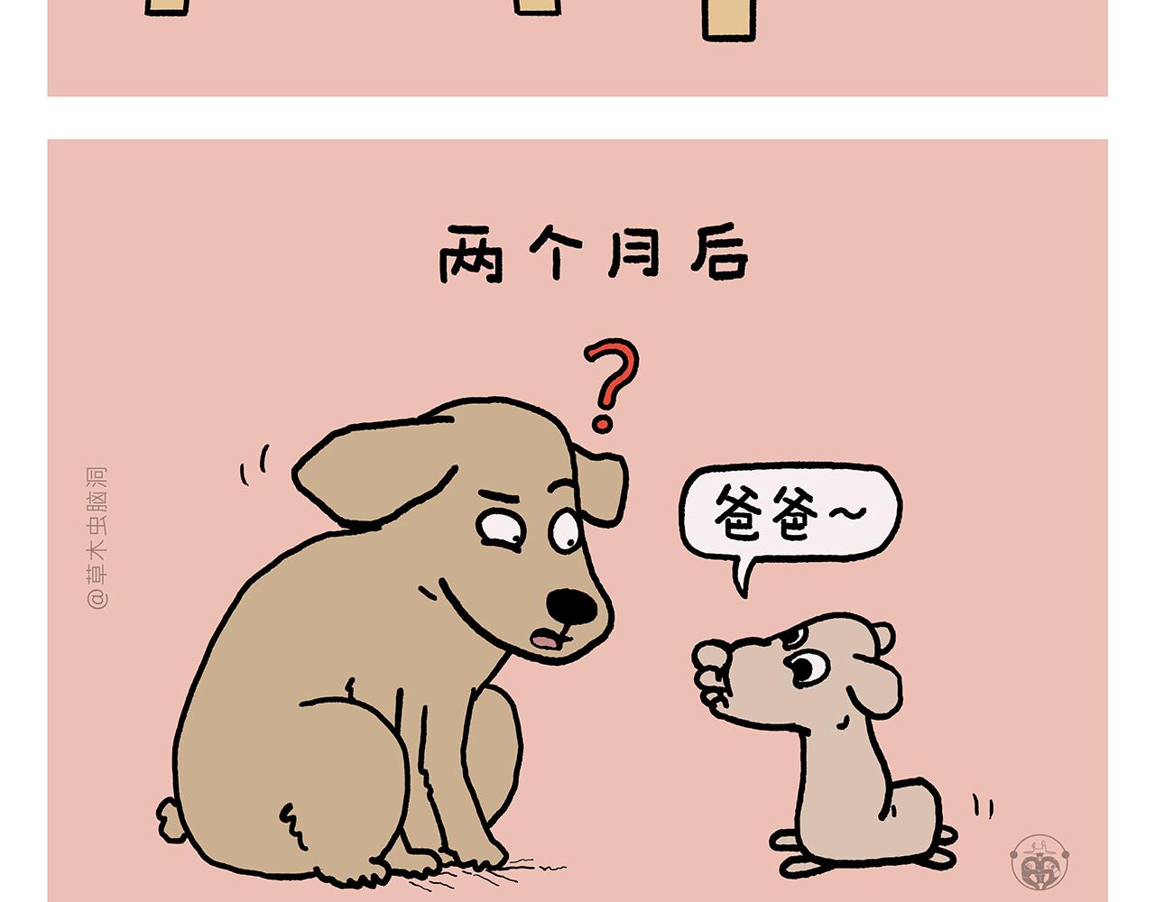 第439话 学习减压11