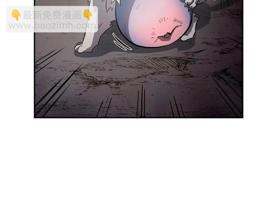 第23话 喜得宠物165