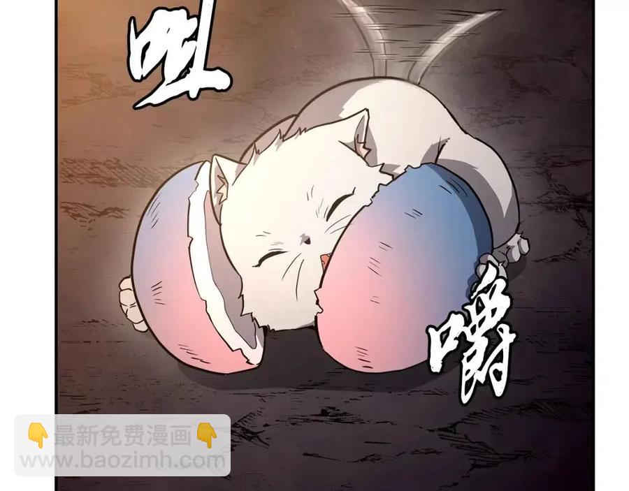 第23话 喜得宠物173