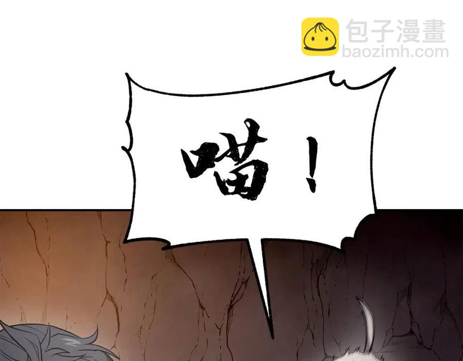 第23话 喜得宠物181