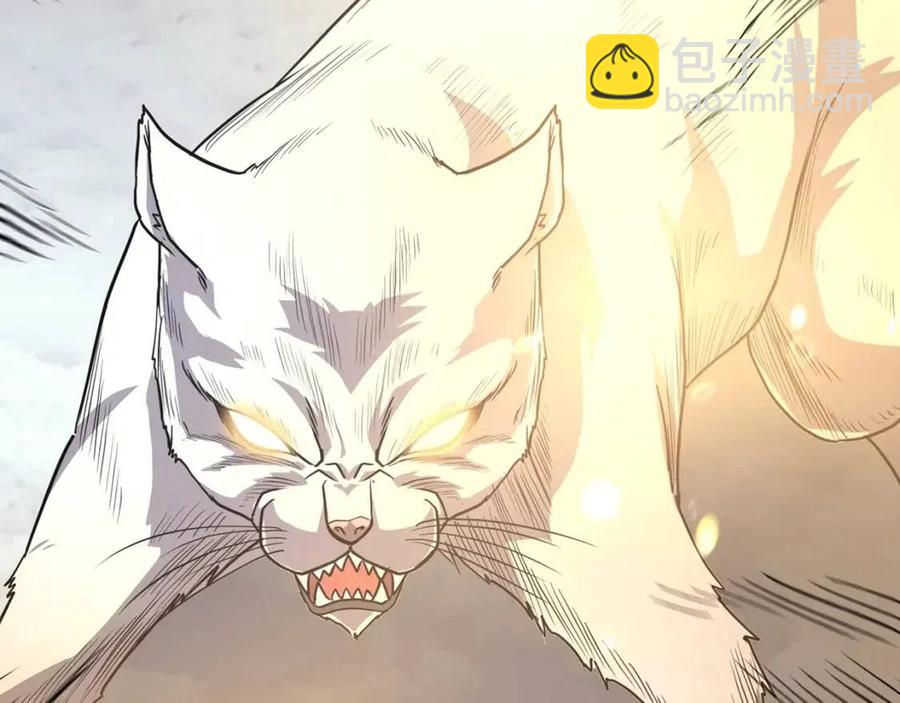 第23话 喜得宠物2