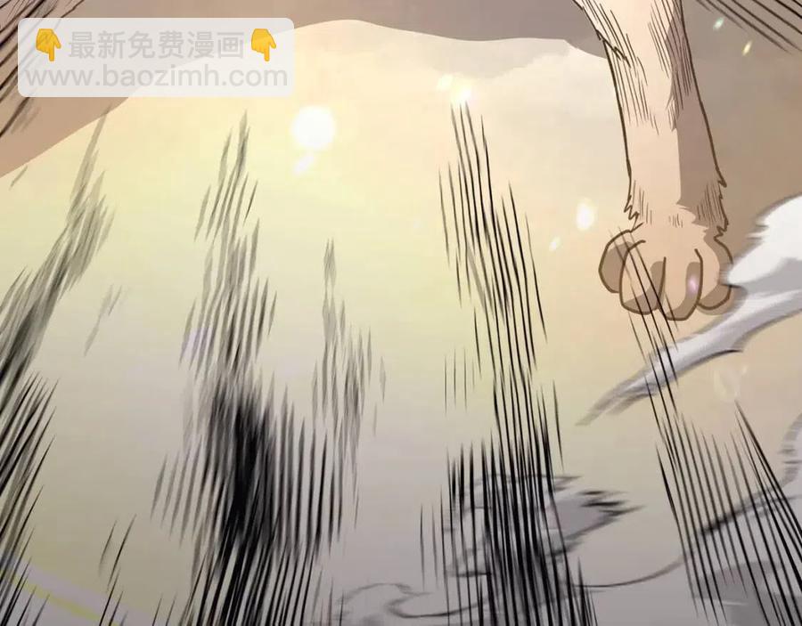 第23话 喜得宠物3